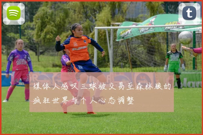 媒体人感叹三球被交易至森林狼的疯狂世界与个人心态调整
