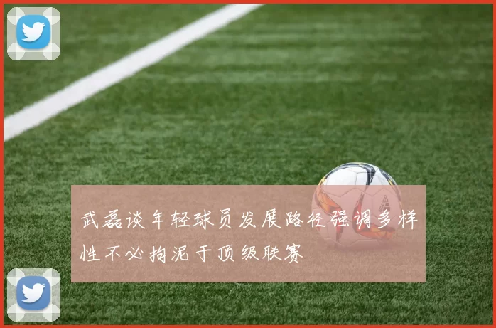 武磊谈年轻球员发展路径强调多样性不必拘泥于顶级联赛